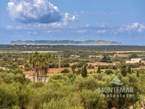 Grundstücke in Ses Salines mit herrlichem Blick auf Cabrera 